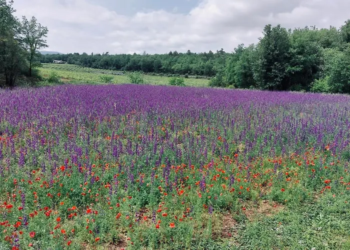 Les Jardins D\'Isa