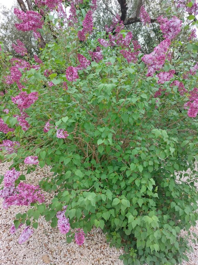 Holiday home Les Jardins D'isa Tourves