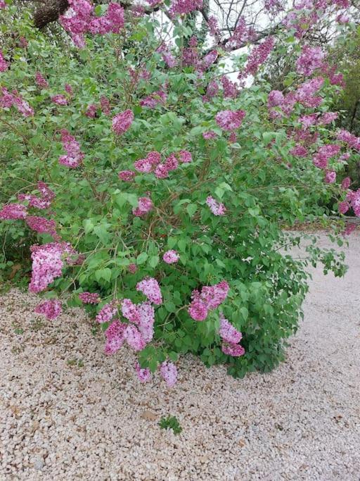 Les Jardins D'isa Ferienhaus Tourves