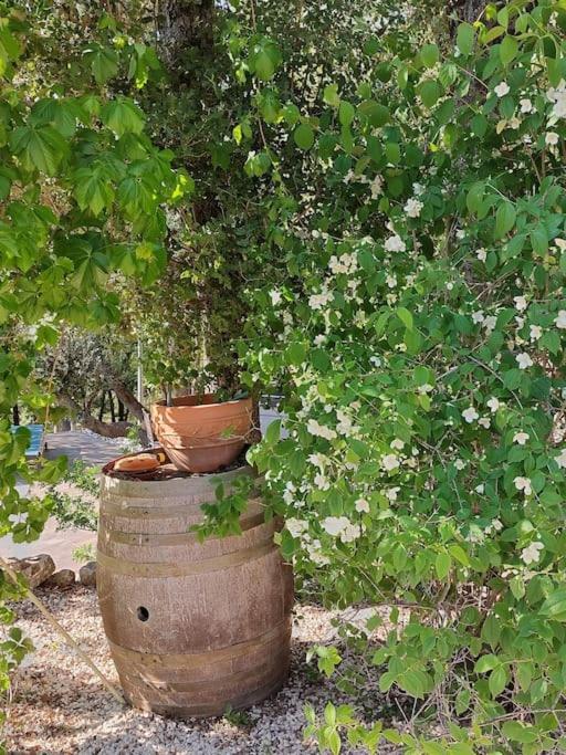 Holiday home Les Jardins D'isa Tourves