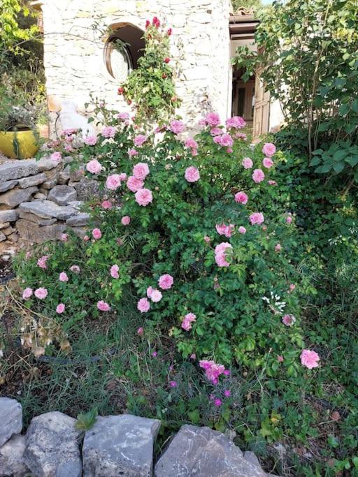 Les Jardins D'isa Ferienhaus Tourves
