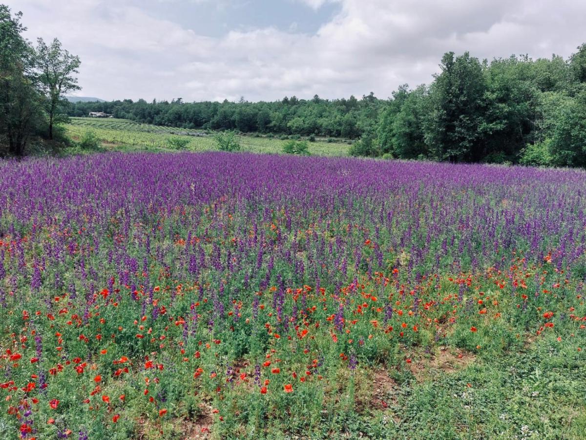 Les Jardins D'isa Holiday home *