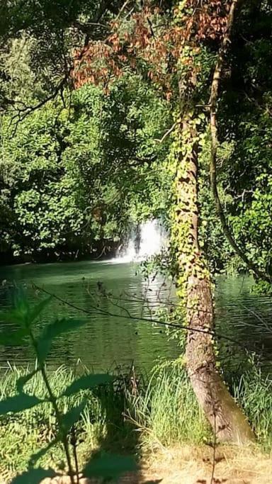 Les Jardins D'isa * Tourves