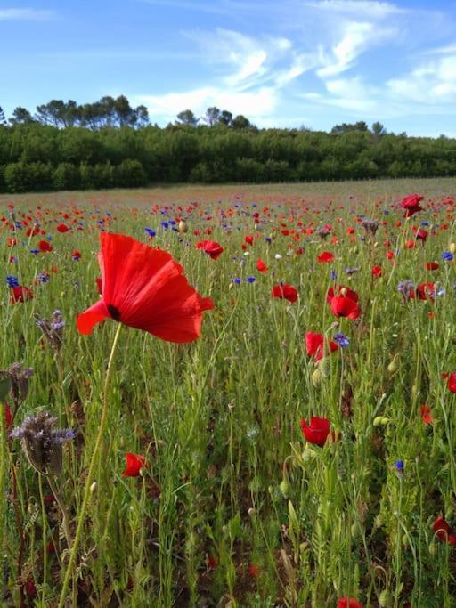 Les Jardins D'isa Holiday home