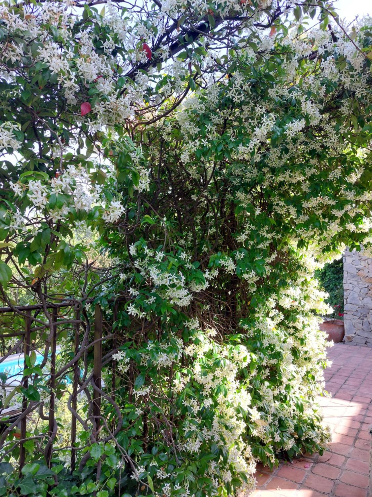 Les Jardins D'isa *